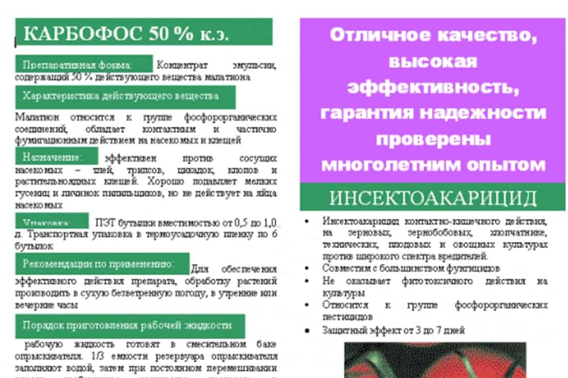 Можно ли обработать карбофосом. Карбофос. Препарат Карбофос. Карбофос инструкция. Препарат Карбофос от клопов.