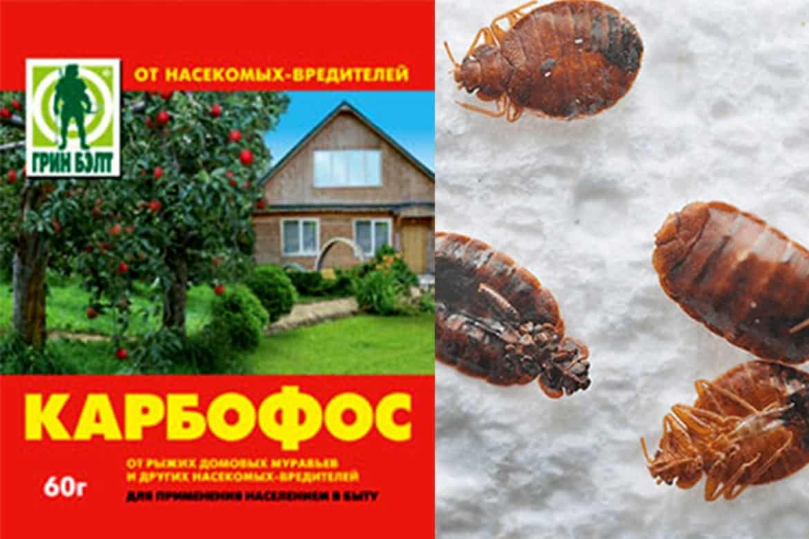 Где Купить Жидкий Карбофос