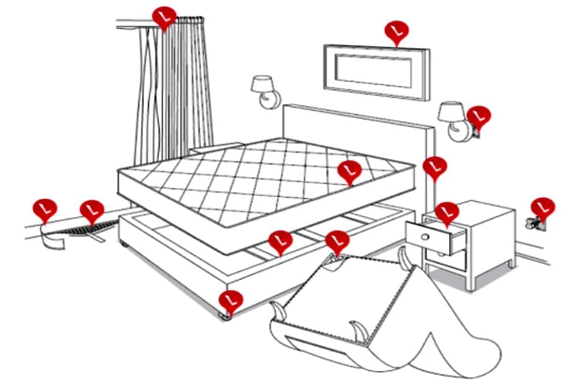 Как найти постельных клопов. Места скопления клопов в квартире. Места обитания клопов в квартире.