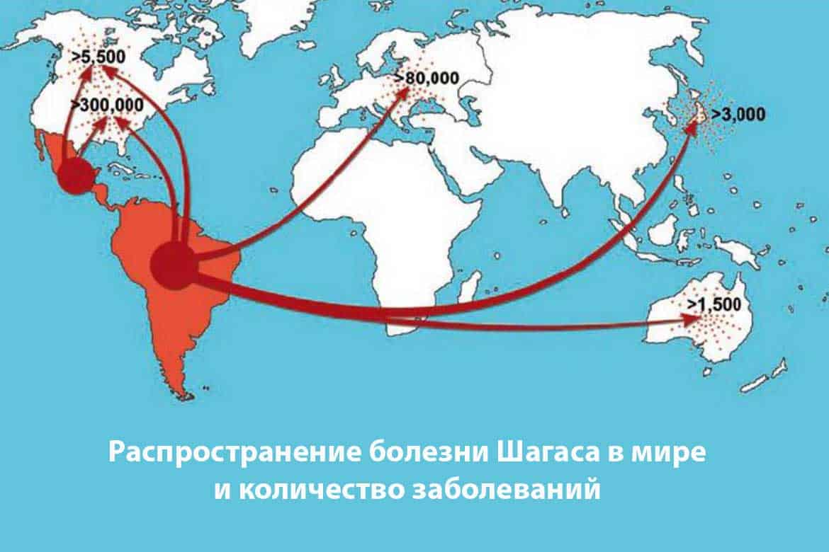 Латинская америка миграция. Миграция в Латинской Америке. Болезнь Шагаса распространение. Миграция в Южной Америке. Распространенность болезни Шагаса.