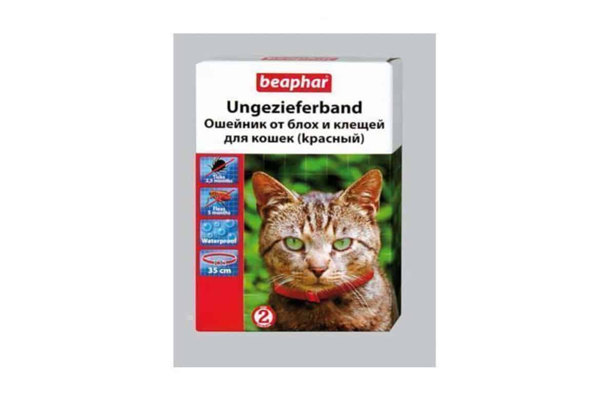 Что лучше от клещей для кошек. Beaphar ошейник для кошек. Беафар ошейник для кошек красный. Капли от блох Беафар.