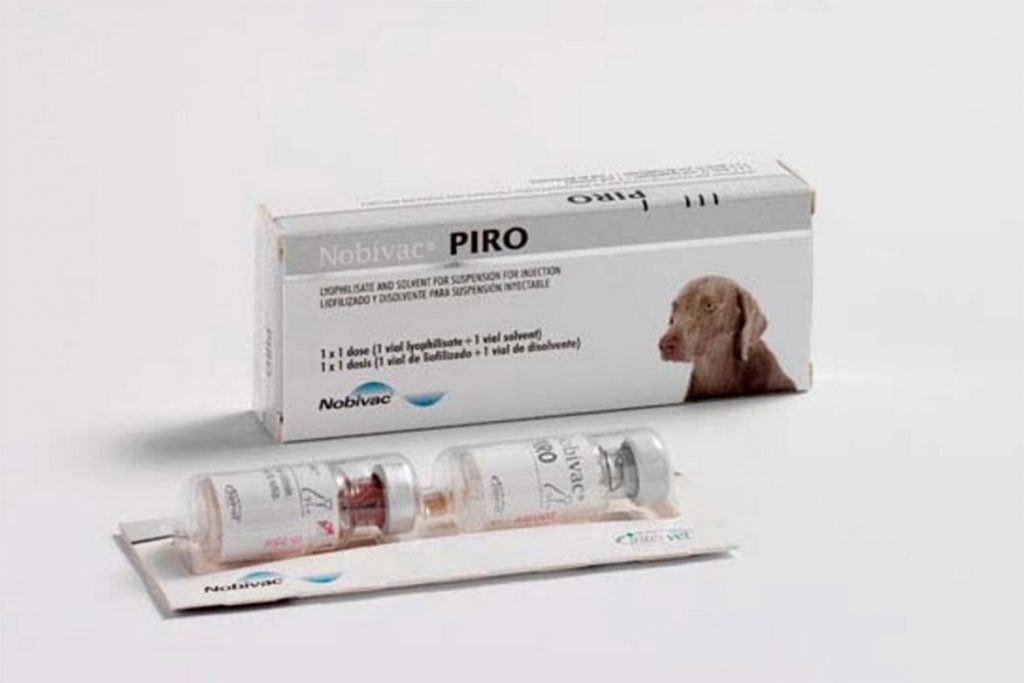 Прививка от клещей для собак: как и когда ее делают – отзывы ветеринаров Нобивак Piro