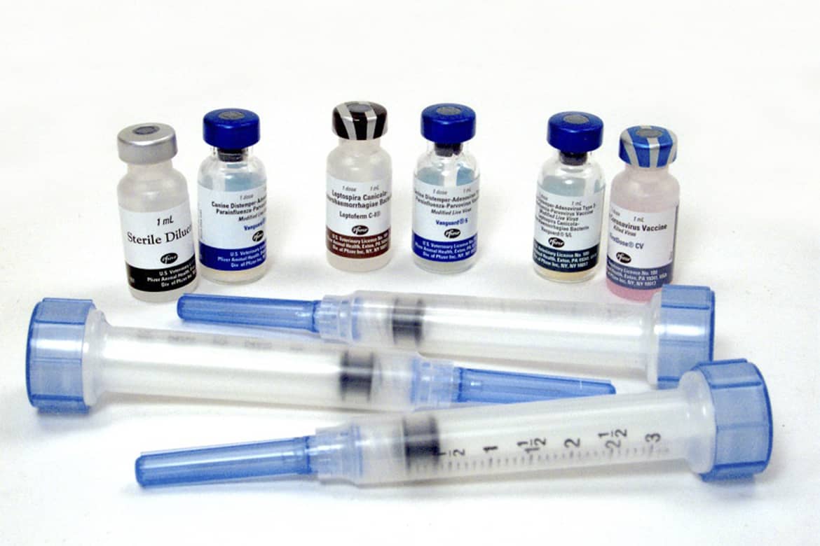 Вакцина от клещей для людей