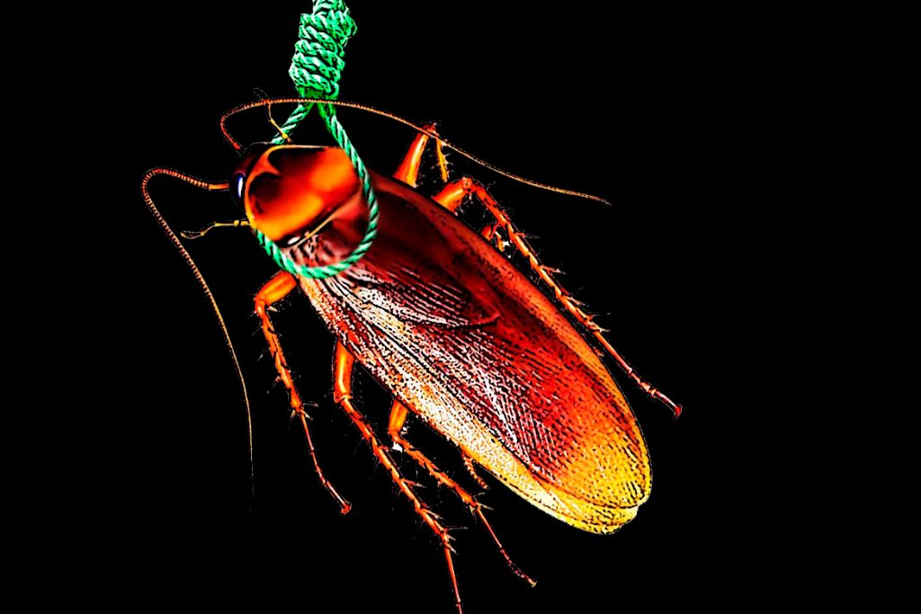 Чудо природы или закономерность таракан без головы может жить сколько и почему не умирает обезвоживание