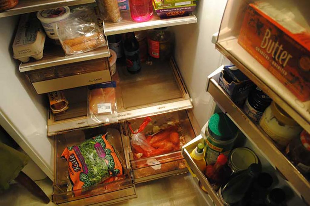 Что делать и как избавиться, если тараканы живут в холодильнике – пошаговая инструкция, как вывести насекомых из бытовой техники. Профилактика, продукты
