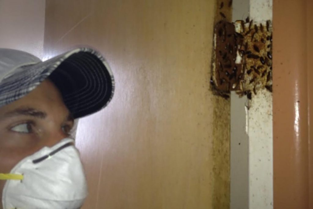 Тараканы от соседей – как заставить травить насекомых, куда жаловаться, образец заявлений, зараженная квартира