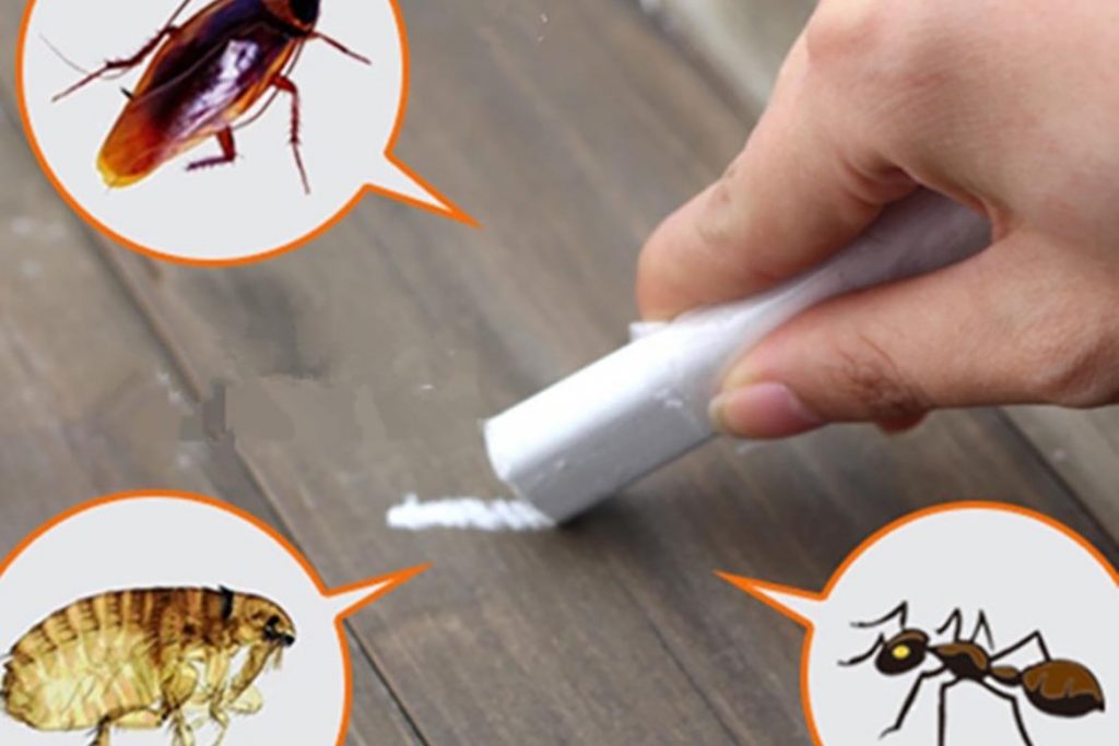 Тараканы в ванной комнате – откуда берутся, что делать и как эффективно избавиться от них, мелки