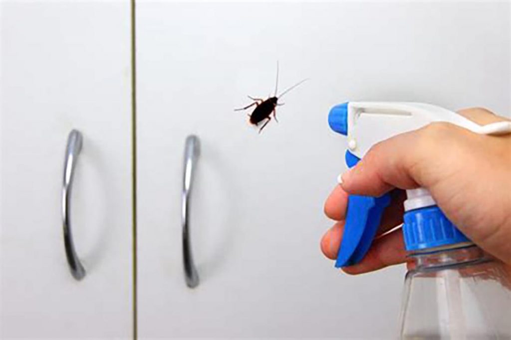 Нашатырный спирт от тараканов – нашатырь (аммиак), как доступное отпугивающее средство для использования в квартире или частном доме, отзывы, распыление