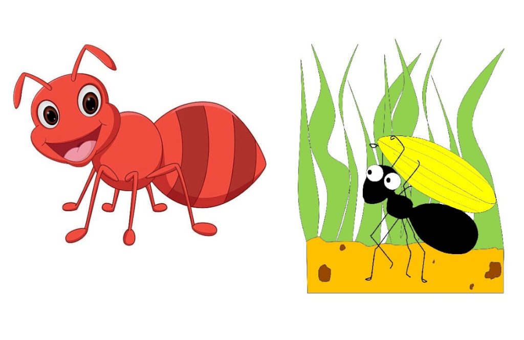  Все о муравьях для детей